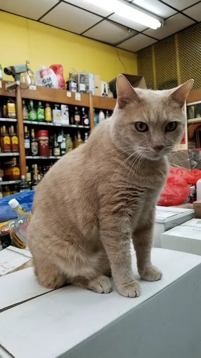 Sam Wai Liquor Store 6