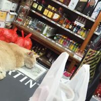 Sam Wai Liquor Store