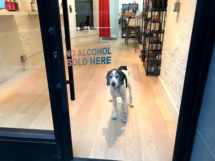 Spirited Away - Booze Free Bottle Shop 8