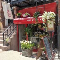 Jones Street Wine