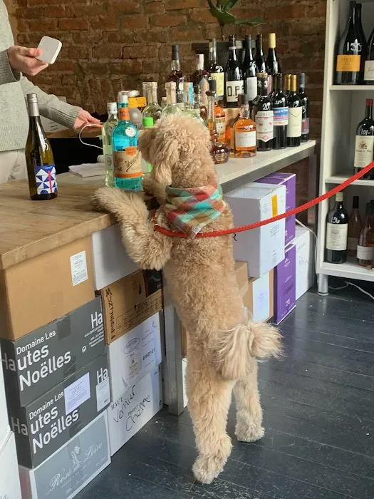 Terry's West Village Wines & Spirits 5