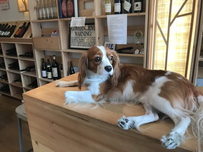 Thirst Wine Merchants 1
