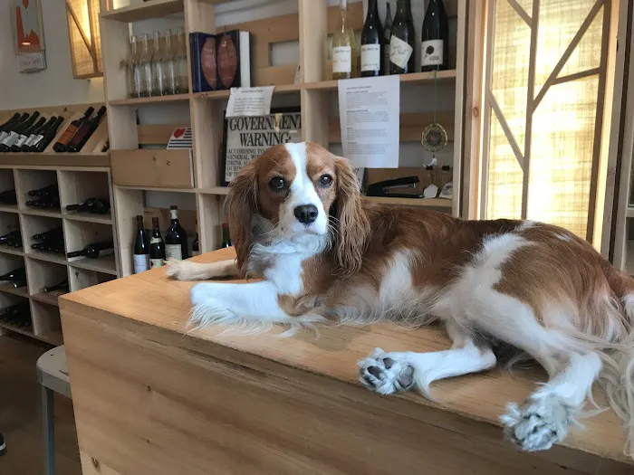 Thirst Wine Merchants 0