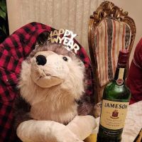 W & J Wines & Spirits