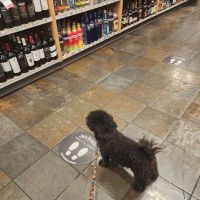 Vino 43 Wines & Spirits