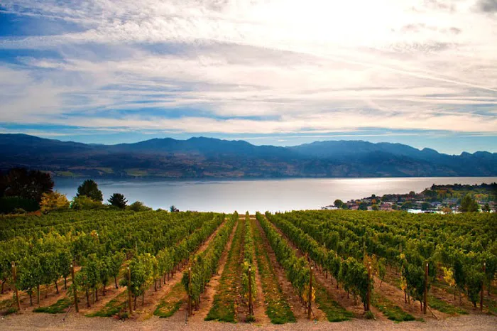 Langford Wine Merchants 4