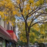 Petzinger's Wines & Liquors