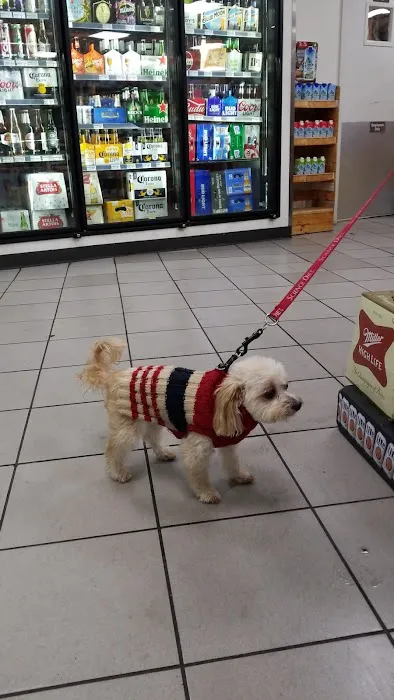7-Eleven 5