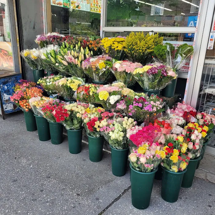 Ditmars Blvd Supermarket 6