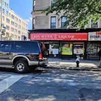 Lion Wine & Spirits