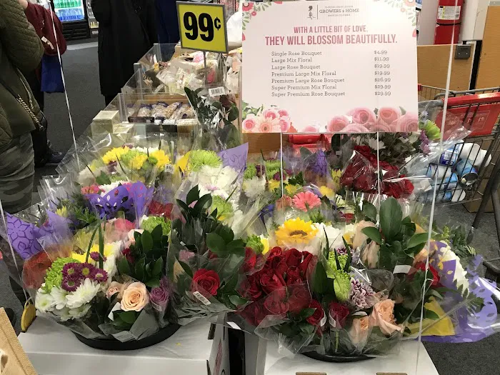 CVS 5