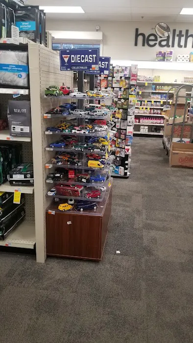 CVS 5