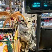 Cabrini Wines & Spirits