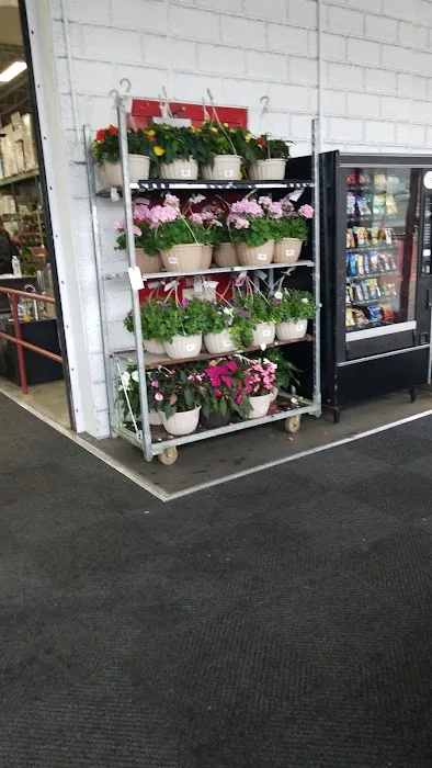 BJ's Wholesale Club 4