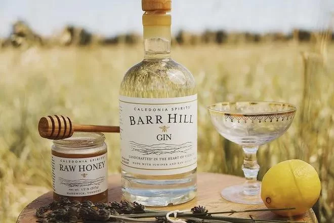Where to Find Unique Gin Brands Near Me: A Guide to the Best Craft Gins in the USA