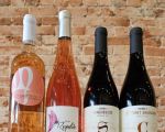 2025 Wine Tasting Notes and Scores: Expert Reviews and Insights