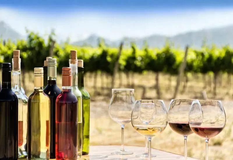 Discover the Best Wine Tasting Near Me Events for an Unforgettable Experience