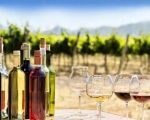 Discover the Best Wine Tasting Near Me Events for an Unforgettable Experience