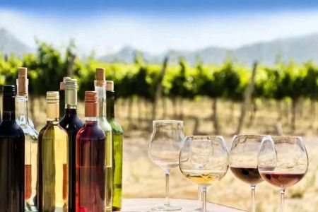 Discover the Best Wine Tasting Near Me Events for an Unforgettable Experience